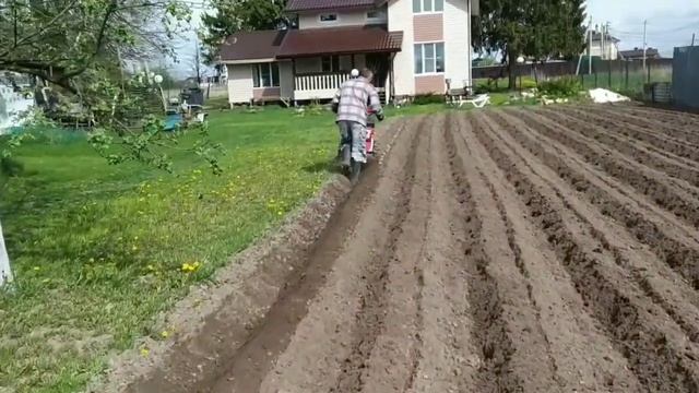 Сажаю картошку под плуг мотоблоком,это просто смотреть онлайн