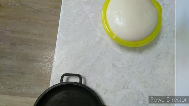 Животные в Зоопарках