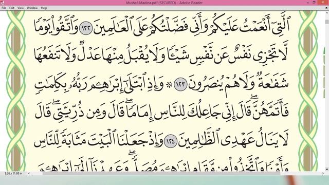 Sheikh Ayman Swayd Surah AL BAQARAH page 19 смотреть онлайн