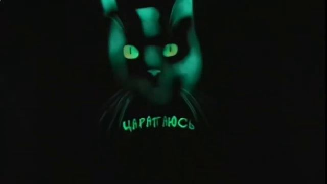 когда у кошек светятся глаза смотреть онлайн