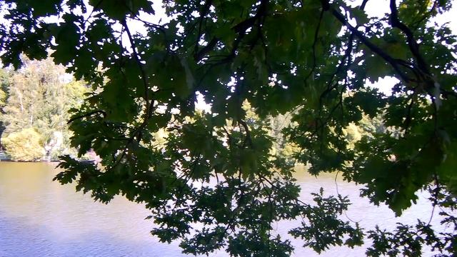 Санкт-Петербург.Таврический Сад (Часть 11) смотреть онлайн