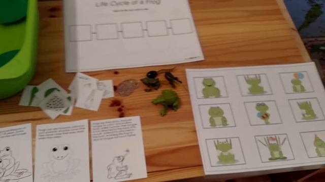 Frog Life Cycle Activities for Children- Sensory bin fun! смотреть онлайн
