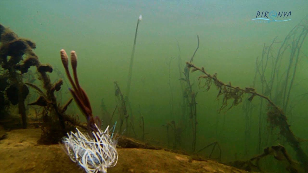 Big Bite Baits Flying Squirrel - варианты оснастки. Часть 2 смотреть онлайн