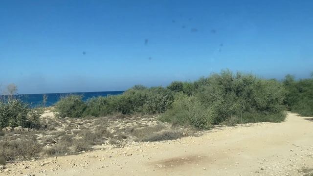 Кипр/Протарас/Лимассол: черепахи ? на Кипре, фестиваль вина смотреть онлайн