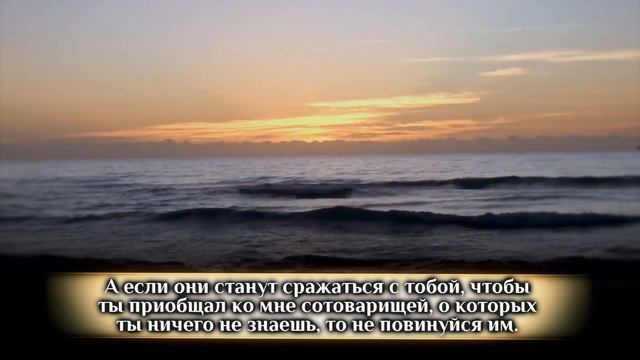 Грустное чтение суры «Паук» смотреть онлайн