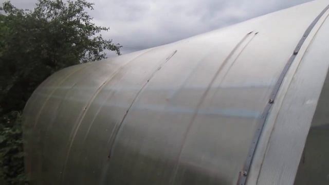 Что делать с Пасынками Огурцов ,когда вы их отрываете? смотреть онлайн