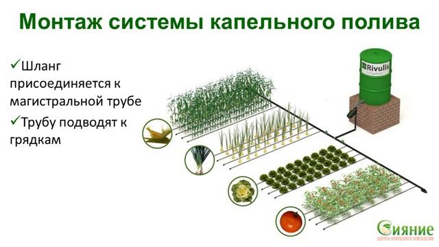 Лента капельного полива. Видеоинструкция.