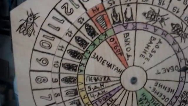 Календарь вывода маток для друга Матководство смотреть онлайн