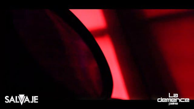 SALVAJE LA DEMENCE PALMA смотреть онлайн