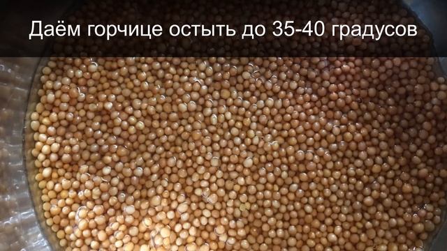 ДЛЯ МАРИНАДА, САЛАТОВ И ВАШИХ ЛЮБИМЫХ БЛЮД! ПРОСТОЙ РЕЦЕПТ ДОМАШНЕЙ ФРАНЦУЗСКОЙ ГОРЧИЦЫ смотреть онлайн
