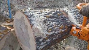 Пиление дерева Бензопилой Урал 2Т