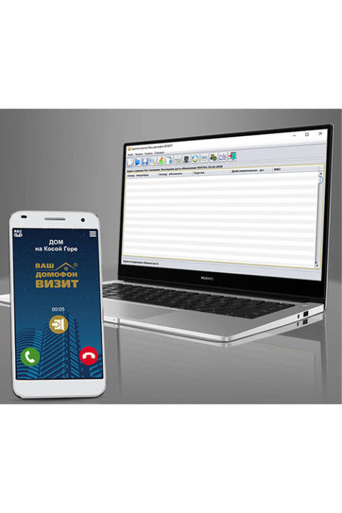 Умный домофон Vizit(BUD-485, Vem-701)