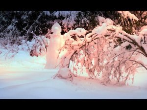 Снегурочка