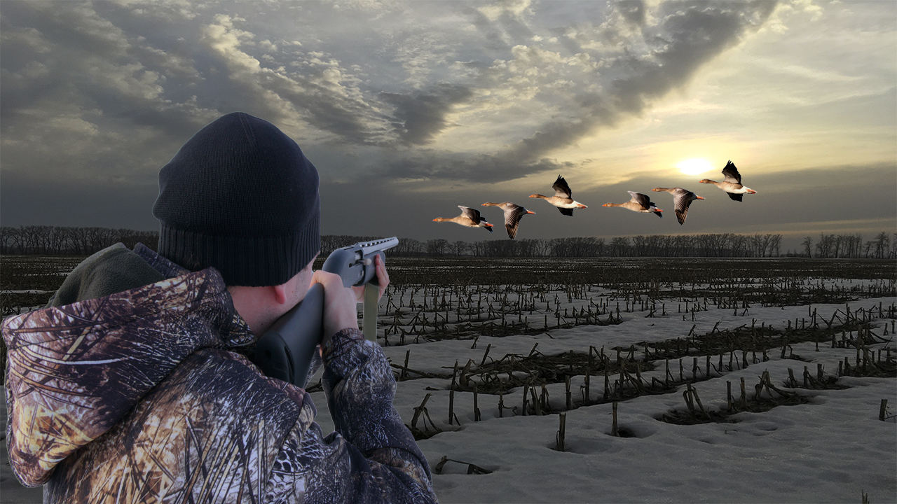 Охота на гуся 2022 на Кукурузном поле смотреть онлайн