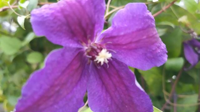 5 октября/ДЕНЬ ИОНА/ОФИЦИАЛЬНОЕ начало осени/Тепла не нужно ждать/Приметы смотреть онлайн