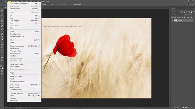 CONTENT AWARE Fill in Photoshop || Remove Objects смотреть онлайн