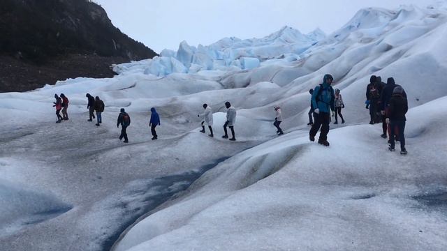Argentine... смотреть онлайн