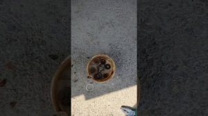 один из причин на горячую не заводится