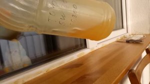 Lada Ultra GL4/5 75W90 текучесть в -30