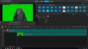 Урок 10.Работа с хромакеем в Corel Video studio.