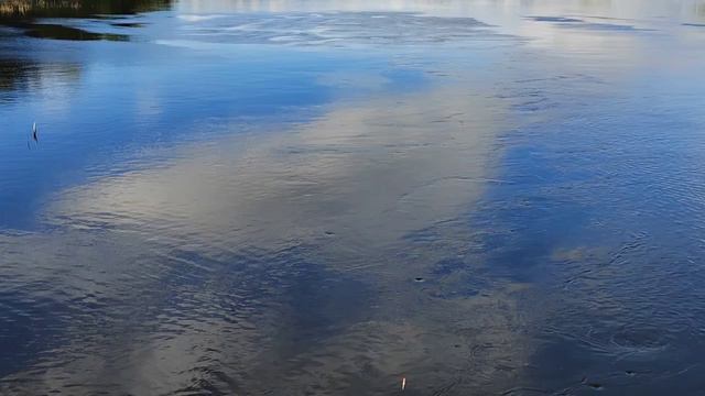 Река Миасс раздалась в ширь.Прогулялась.