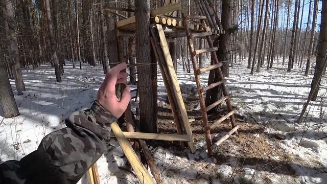 ПОКРАСИЛ СТЕНЫ В ЛЕСНОЙ ХИЖИНЕ. ЧТО С ДОМОМ НА ДЕРЕВЕ. БЛИНЧИКИ НА КОСТРЕ. смотреть онлайн
