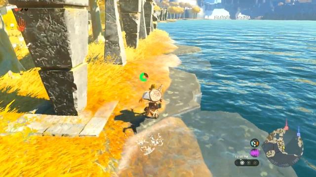 The Legend of Zelda Tears of the Kingdom | Part 5 | Switch Longplay [HD] 4K 60fps 2160p смотреть онлайн