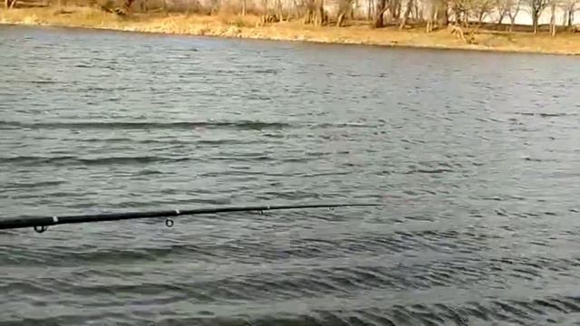 вобла 2021 6 апреля день 1