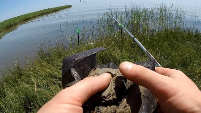 Ловля пеленгаса в Таганрогском заливе.