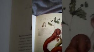 обзор на книгу после человека зоология будущего часть 1