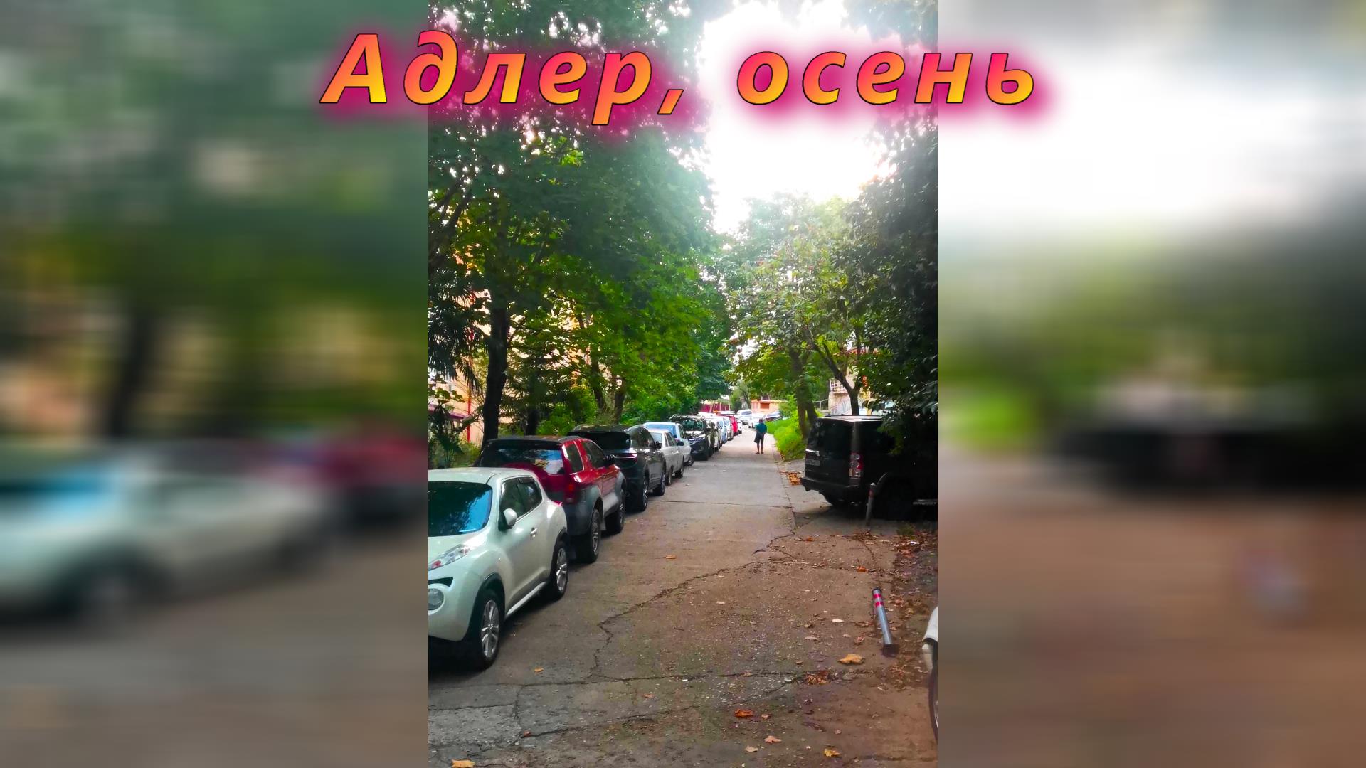 Адлер осень смотреть онлайн