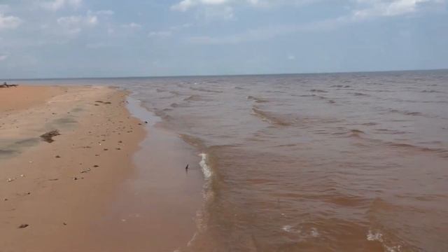 Острова для релаксации. Зеленые острова Рыбинки на берегу Мологи. Или просто Зелёнка! смотреть онлайн