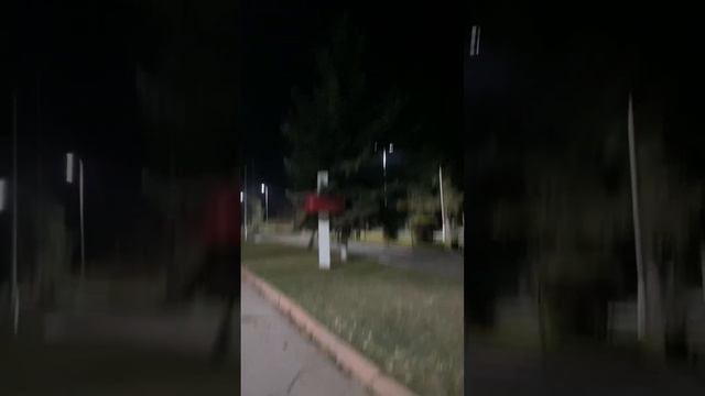 Пушкин багы кечки обход смотреть онлайн
