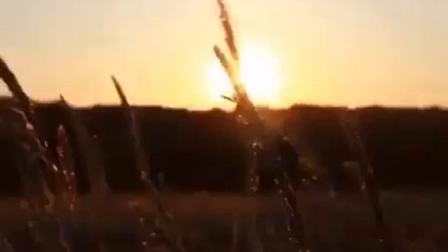 Александръ Поручикъ: Край ты мой заброшенный смотреть онлайн