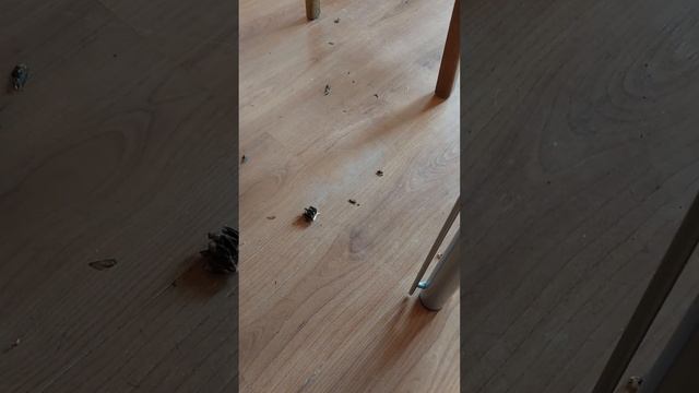 29 октября 2023.Я наведу порядок в своём доме, так было не всегда. Меня "подкосила" смертъ матери. смотреть онлайн