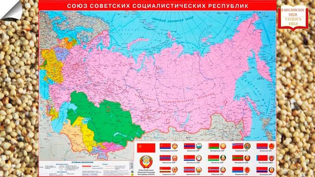 ВОЛШЕБНАЯ СИЛА СОРГО! ФГБНУ РосНИИСК “Россорго”«ДОСТОЯНИЕ ГУБЕРНИИ» Часть 1 смотреть онлайн