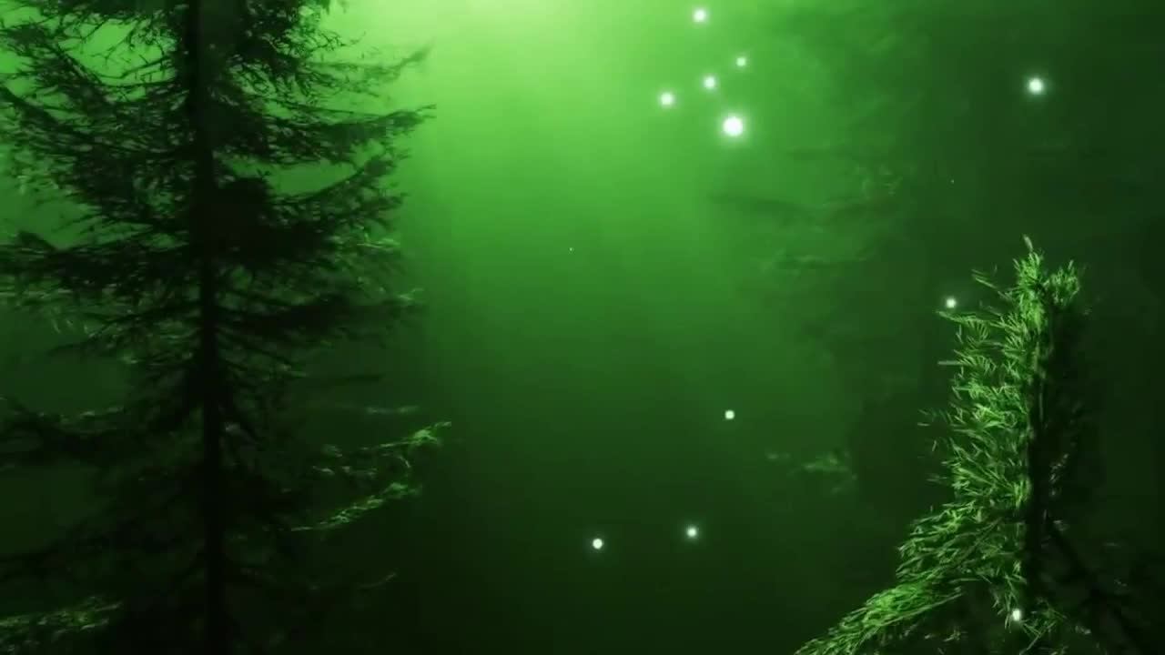 Волшебная музыка леса. Музыка для расслабления. смотреть онлайн