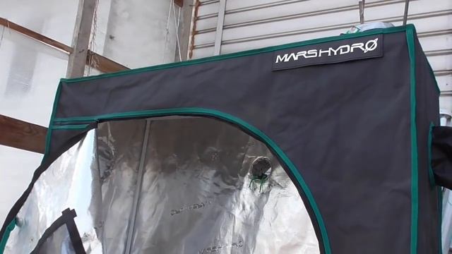 Палатка MARS HYDRO спасает мою рассаду томатов от мороза! Ольга Чернова. смотреть онлайн