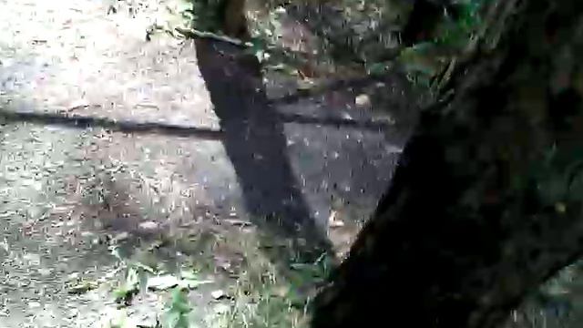 Спорт городок смотреть онлайн