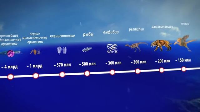 Эволюция путь от бактерии до человека смотреть онлайн