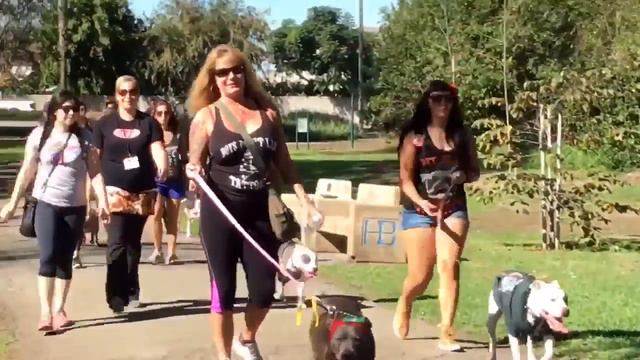 OCPBR 4th Annual National Pit Bull Awareness Day Event 2016 смотреть онлайн