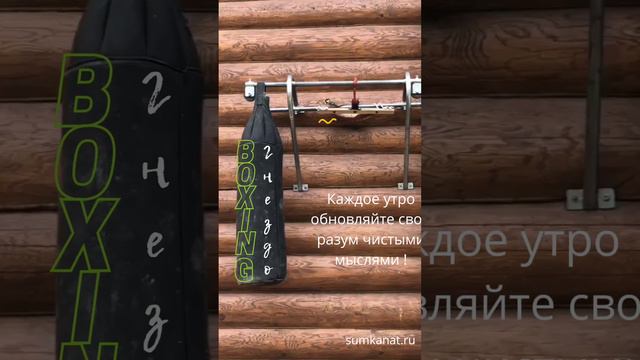 Красивое поздравление с добрым утром #доброеутро #цветы #красивыеномера смотреть онлайн