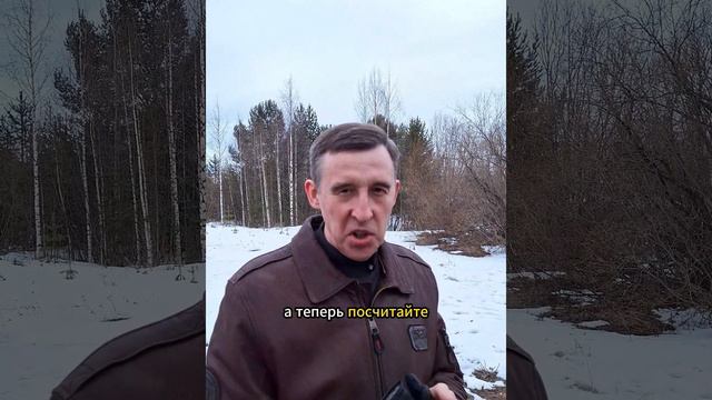 Счастливый день