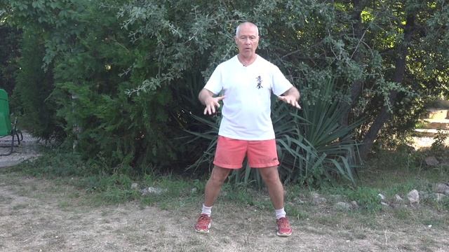 ШКОЛА ИЦЮАНЬ-114. Углублённое поаторение Пинтуй Шили