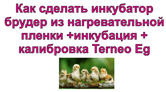 Как сделать инкубатор брудер своими руками из нагревательной пленки +инкубация +калибровка Terneo Eg смотреть онлайн