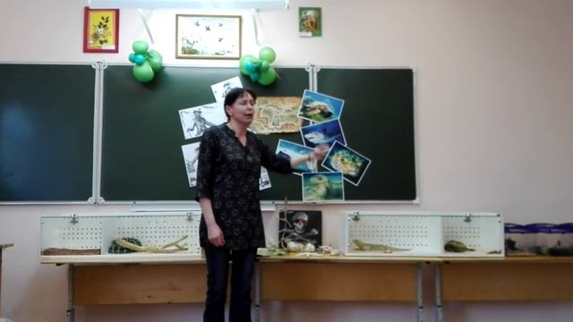 Зоопарк учим животных смотреть онлайн