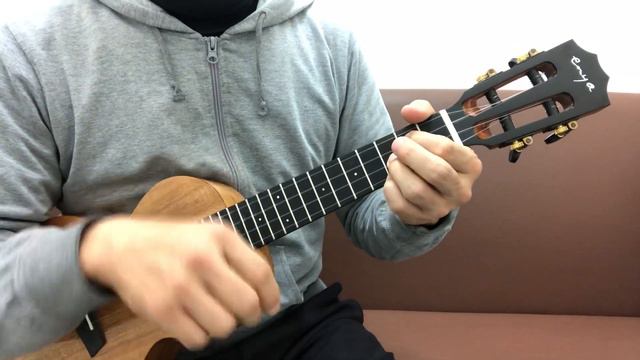 Enya EUC-A1   [LAST GUITAR]