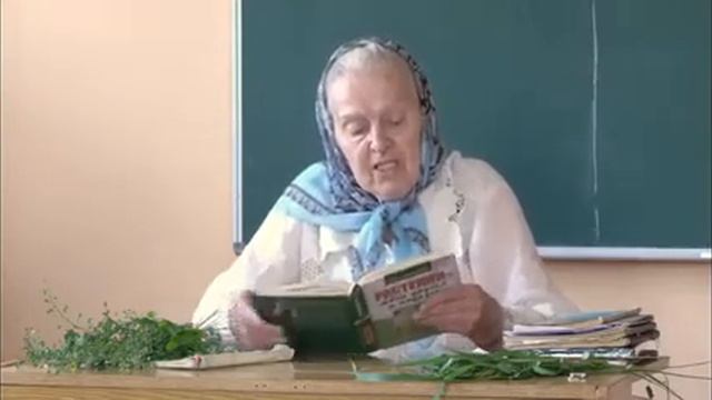 Зайцева об Иван чае смотреть онлайн