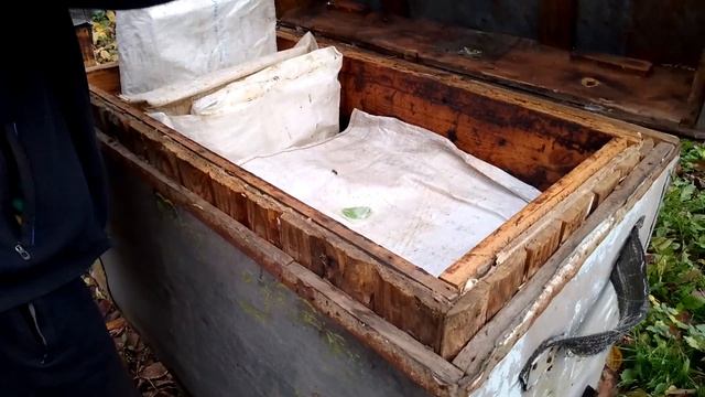 Продам Пчелосемьи смотреть онлайн