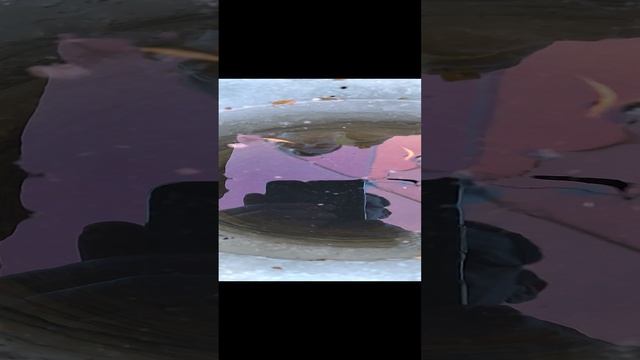 Он Вернулся смотреть онлайн